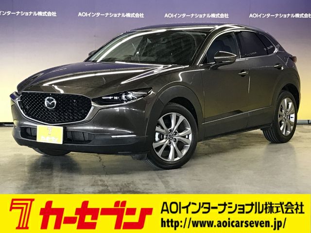 CX-30