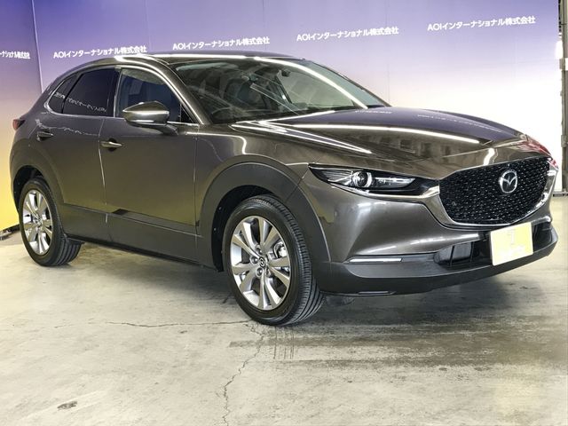 CX-30