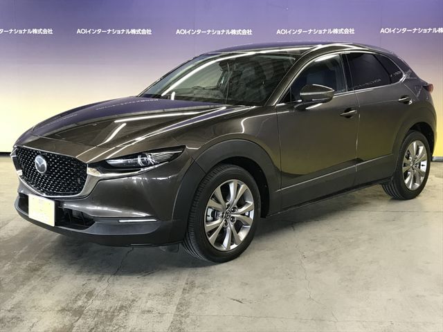 CX-30
