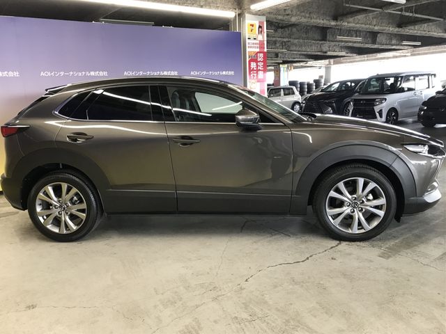 CX-30
