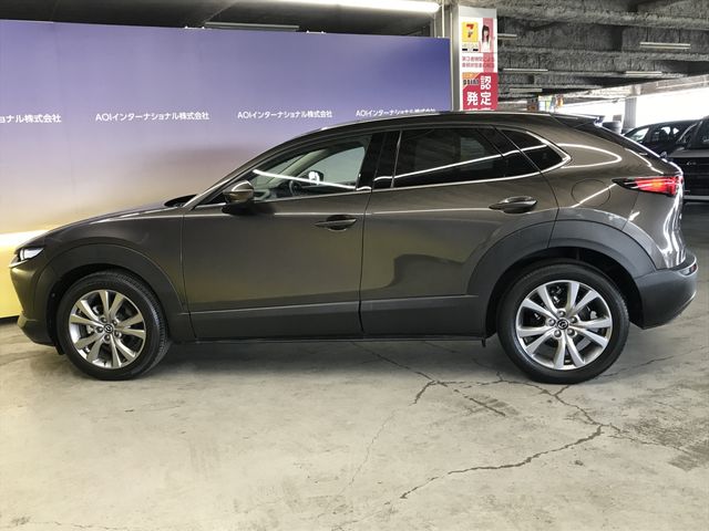 CX-30