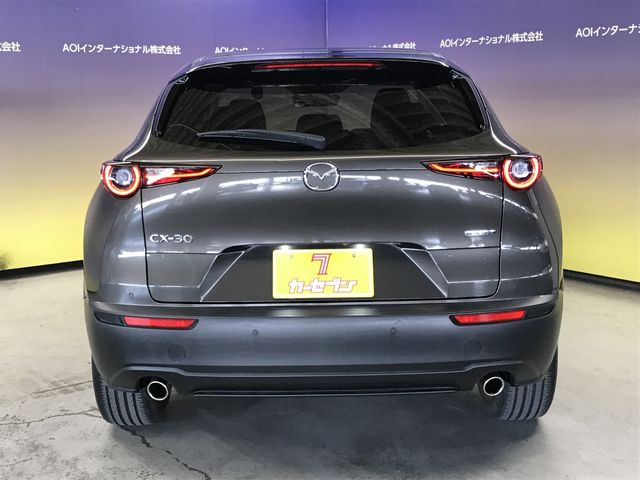CX-30