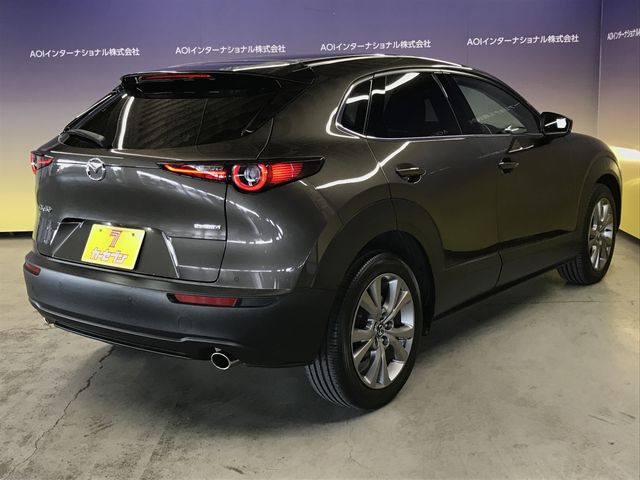 CX-30