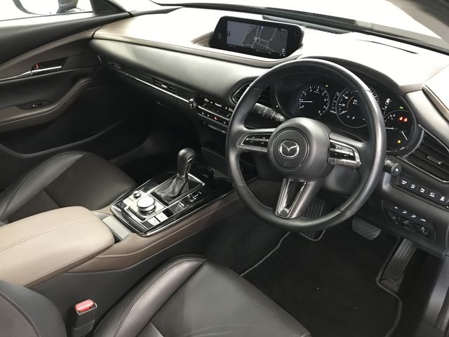CX-30