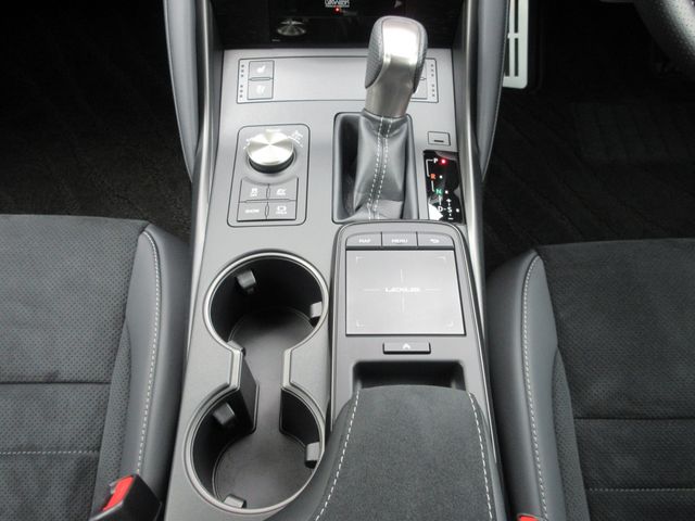 LEXUS IS300h
