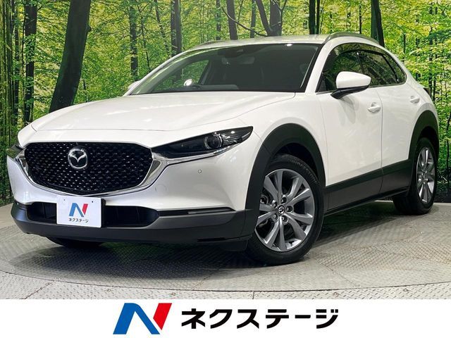 CX-30