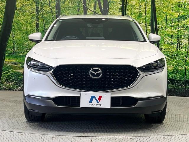 CX-30