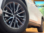 LEXUS NX350h