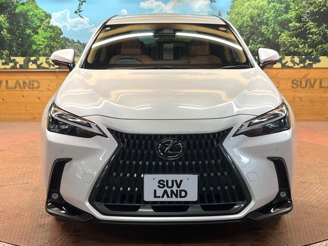 LEXUS NX350h