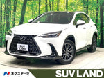 LEXUS NX250
