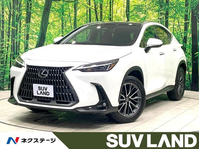 LEXUS NX250