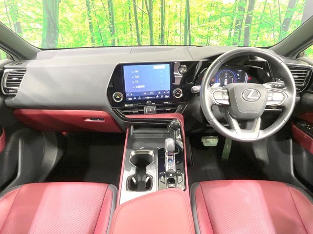 LEXUS NX250