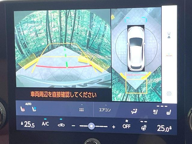LEXUS NX250