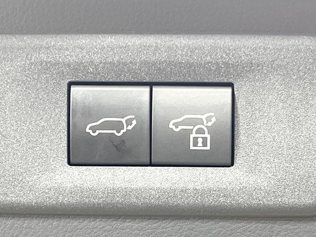 LEXUS NX250
