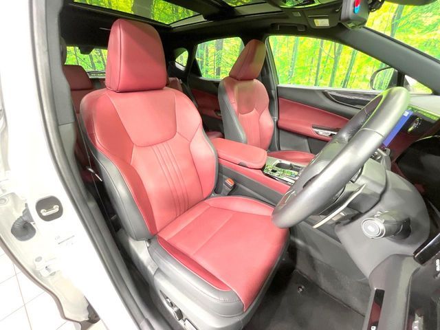 LEXUS NX250