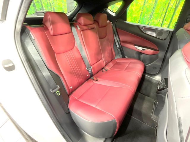 LEXUS NX250