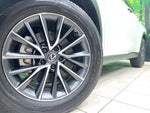 LEXUS NX250