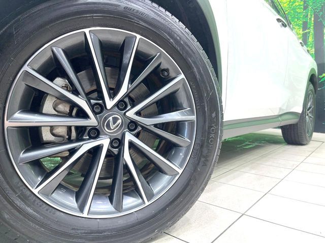 LEXUS NX250