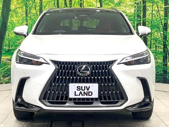 LEXUS NX250