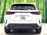 LEXUS NX250