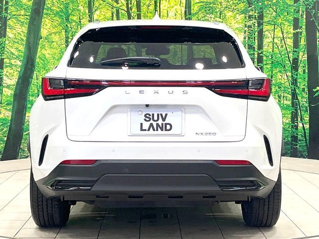 LEXUS NX250
