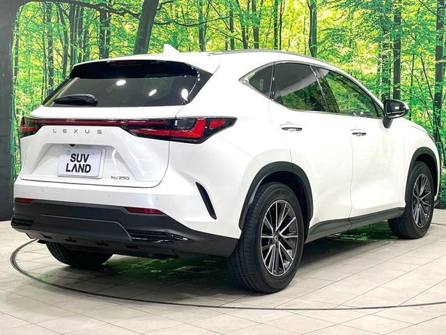 LEXUS NX250