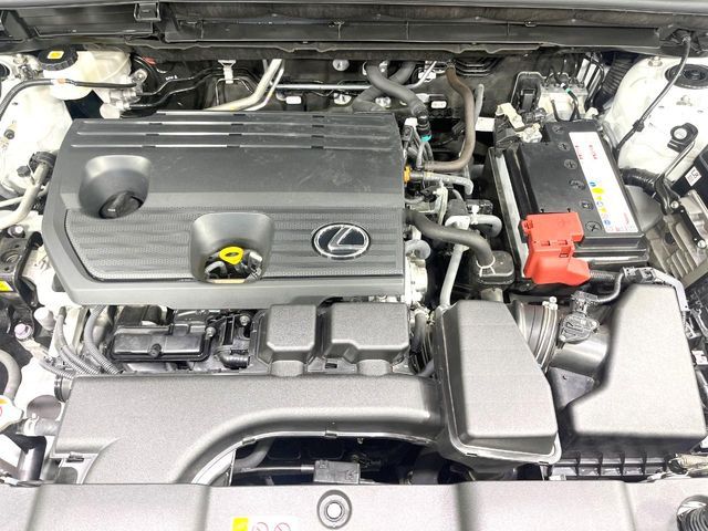 LEXUS NX250