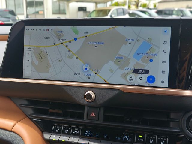 CROWN SPORT