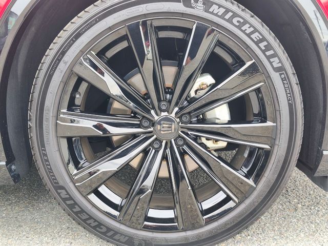 CROWN SPORT