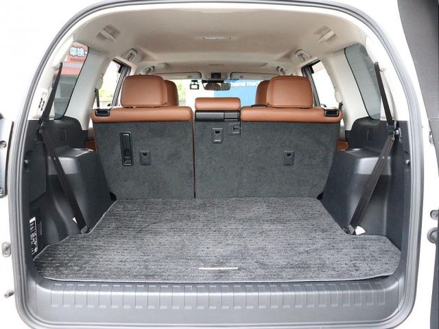 LANDCRUISER PRADO