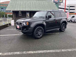 LANDCRUISER 250