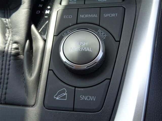 RAV4 4WD