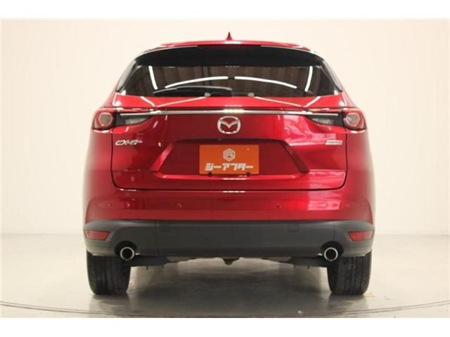 CX-8