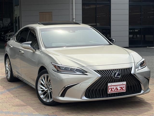 LEXUS ES300h