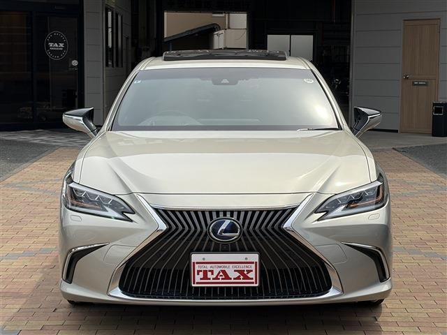 LEXUS ES300h