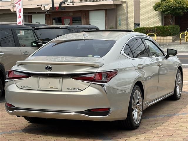 LEXUS ES300h