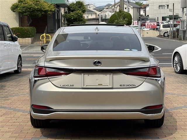 LEXUS ES300h