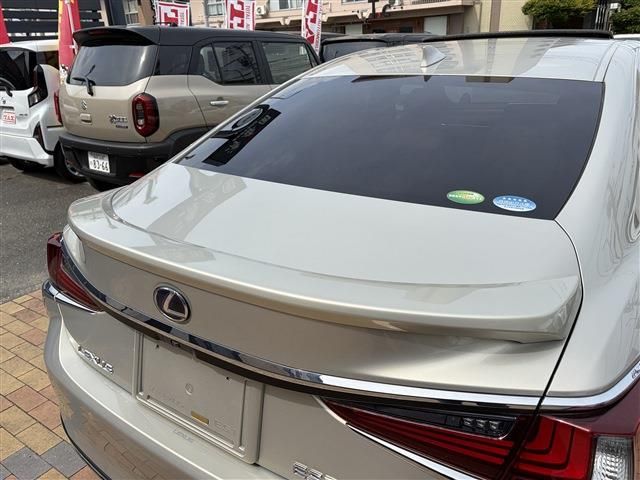 LEXUS ES300h