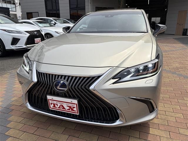 LEXUS ES300h