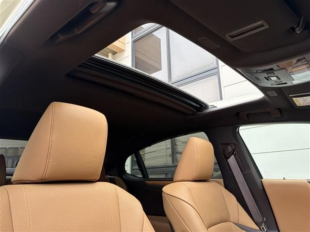 LEXUS ES300h
