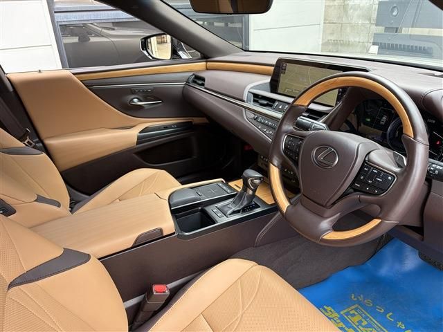 LEXUS ES300h