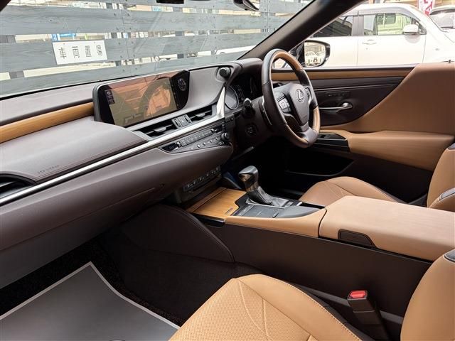 LEXUS ES300h