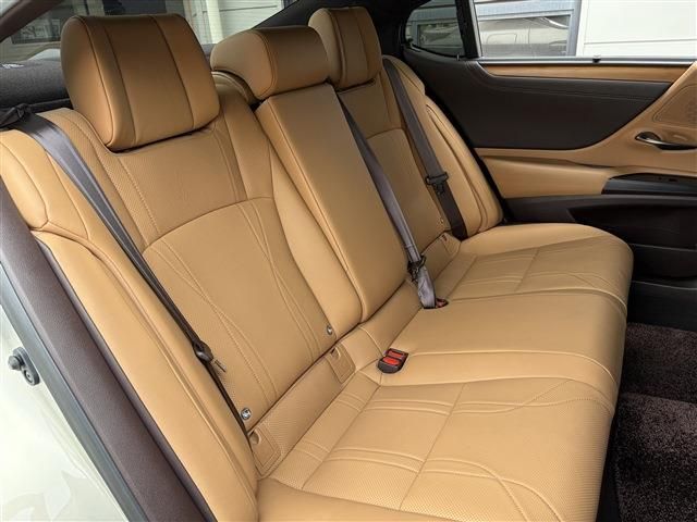 LEXUS ES300h