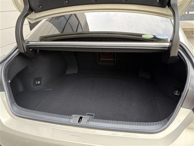 LEXUS ES300h