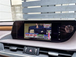 LEXUS ES300h