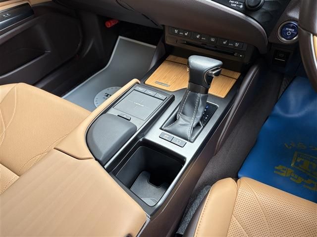 LEXUS ES300h