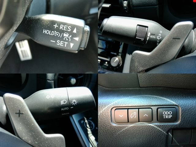 LEXUS IS300h