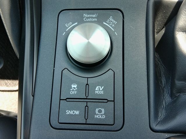 LEXUS IS300h