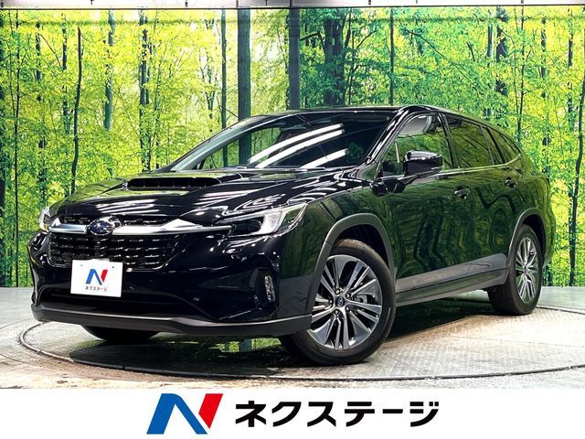 LEVORG LAYBACK