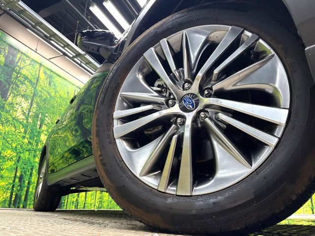 LEVORG LAYBACK